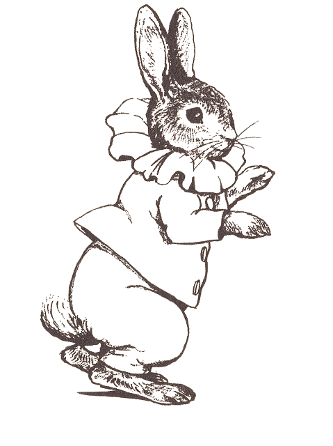 Illustration of a dressed rabbit